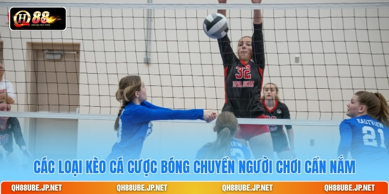 Các loại kèo cá cược bóng chuyền người chơi cần nắm