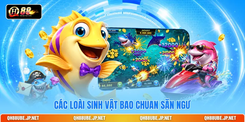 Các loài sinh vật Bao Chuan săn ngư