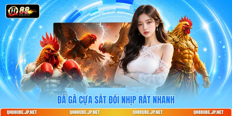 Đá gà cựa sắt đổi nhịp rất nhanh Đá gà cựa sắt đổi nhịp rất nhanh