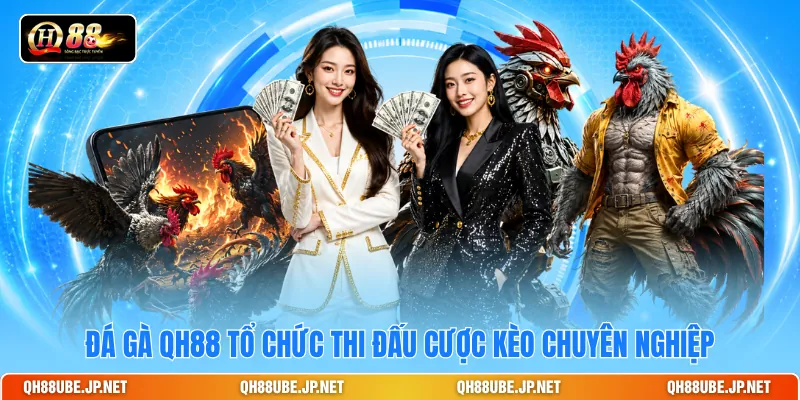 Đá gà QH88 tổ chức thi đấu cược kèo chuyên nghiệp